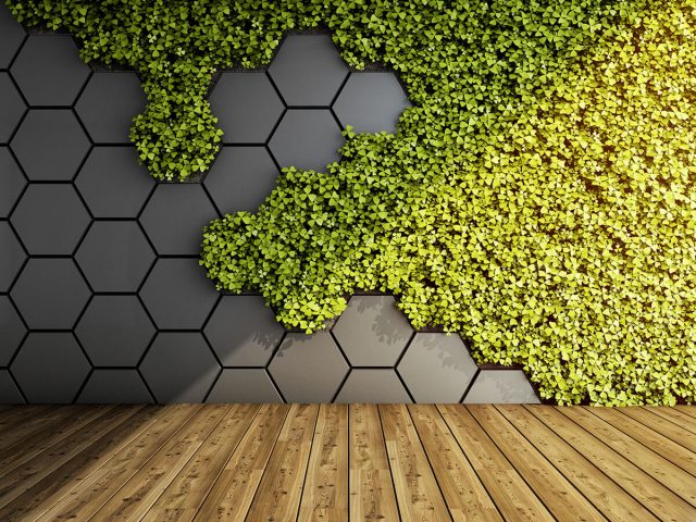 Biopholic-4-640x480 https://harrogategardendesign.co.uk/wp-content/uploads/2022/02/Biopholic-4-640x480-1.jpg