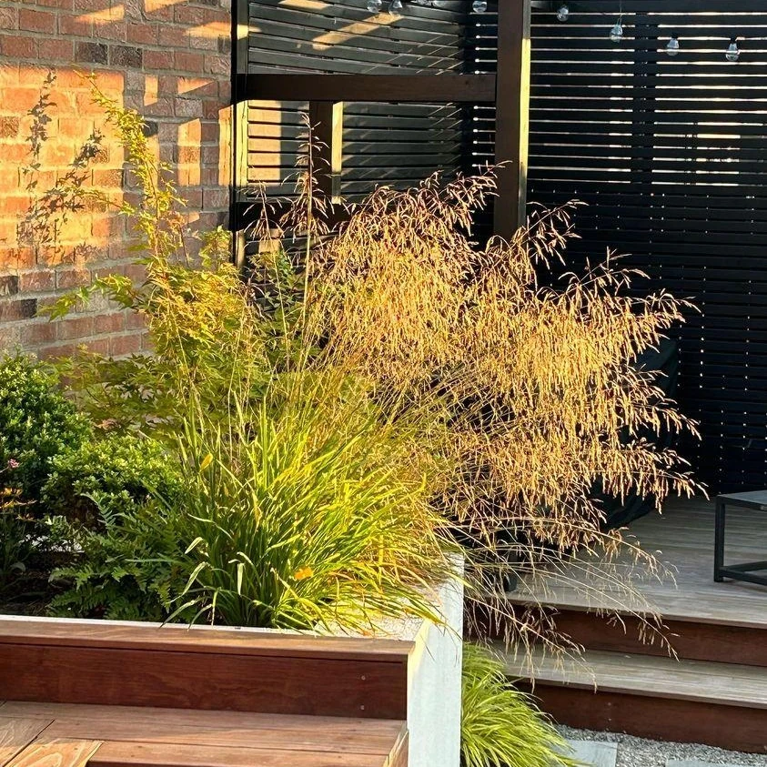 IMG_20230902_213314_918