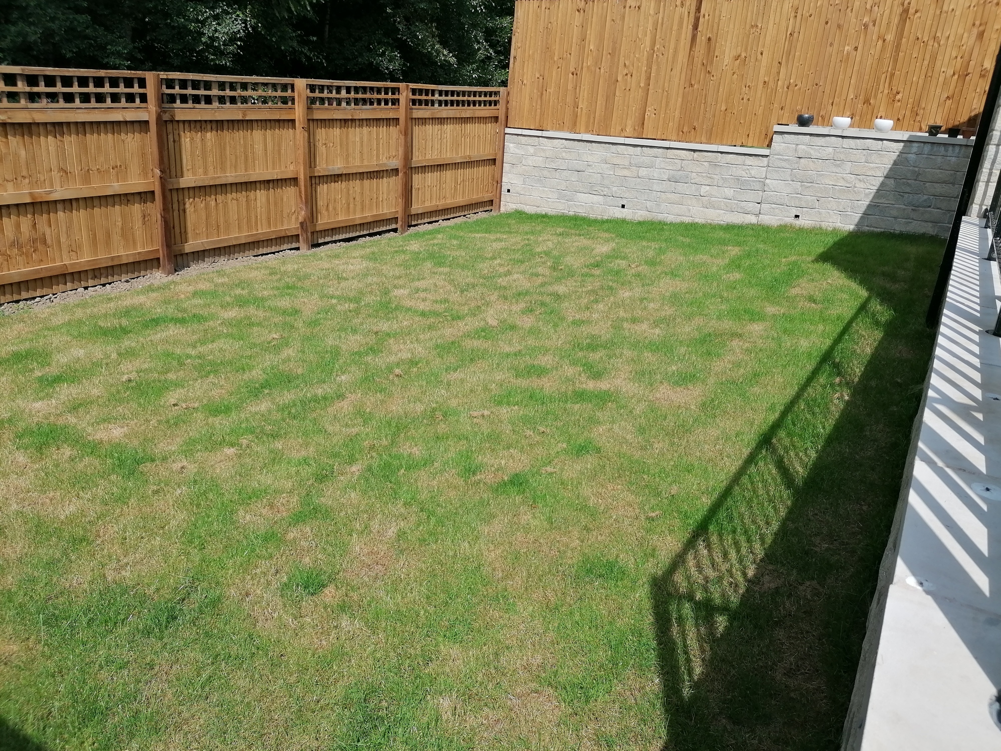 Website before image 2