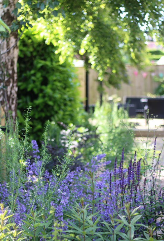 Jason Insta 10 https://harrogategardendesign.co.uk/wp-content/uploads/2023/10/Jason-Insta-10-1.png
