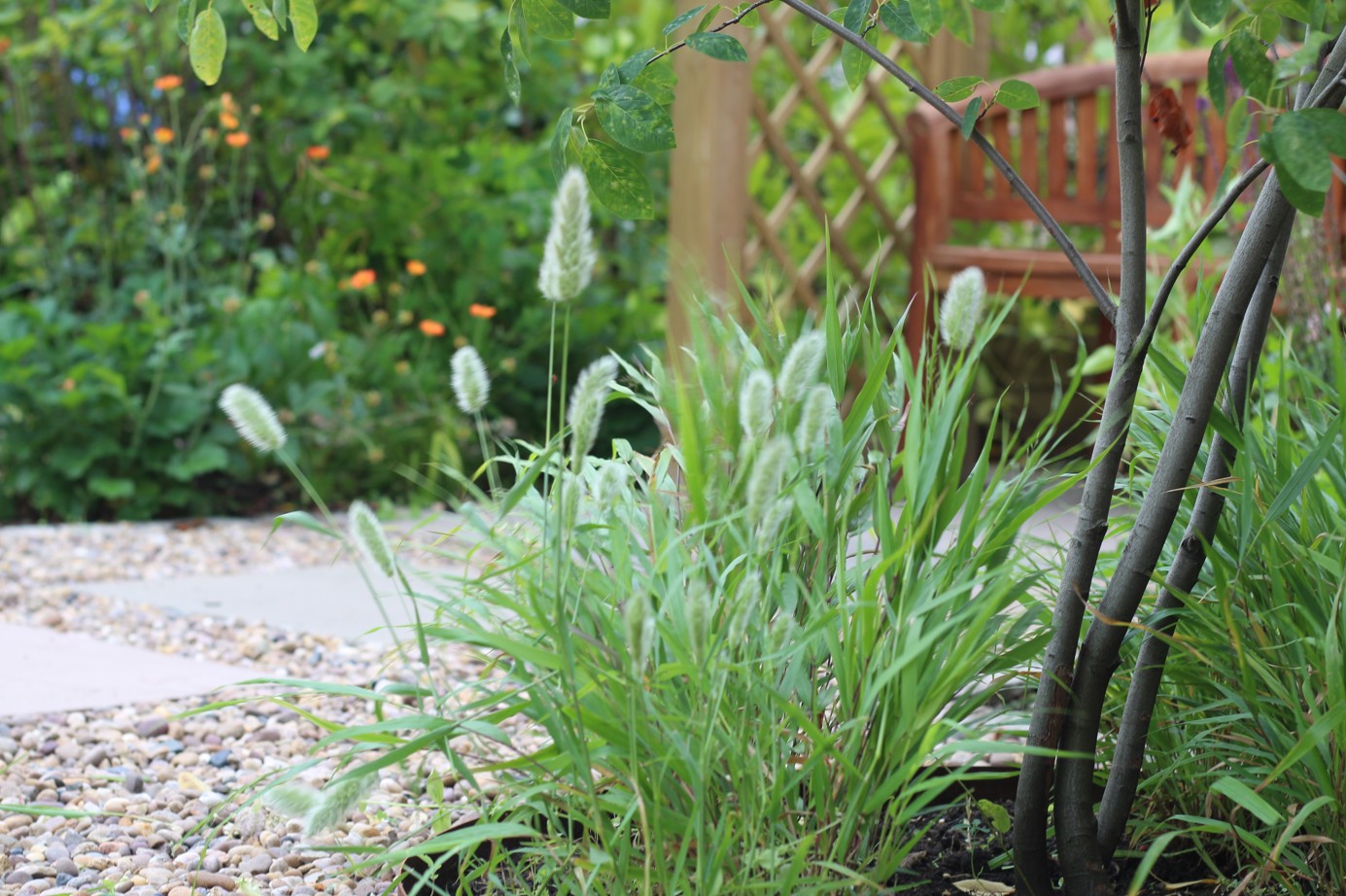 Website 10 - The Avenue