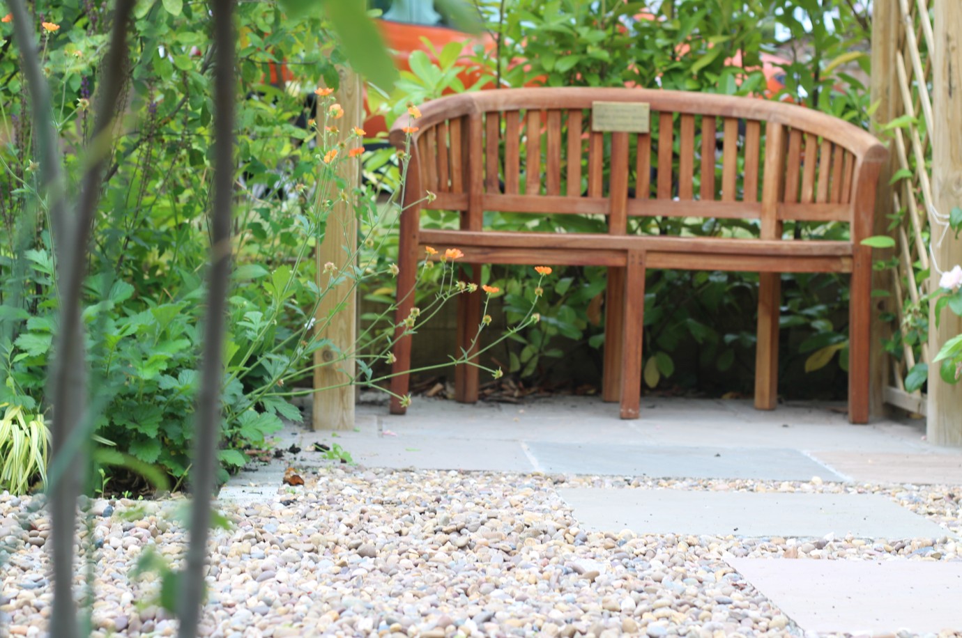 Website 11 - The AVenue