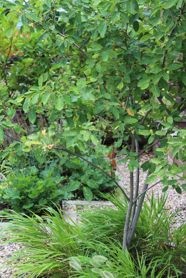 Website 12 - The Avenue