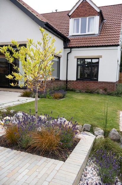 Website 2 - Rose Bank