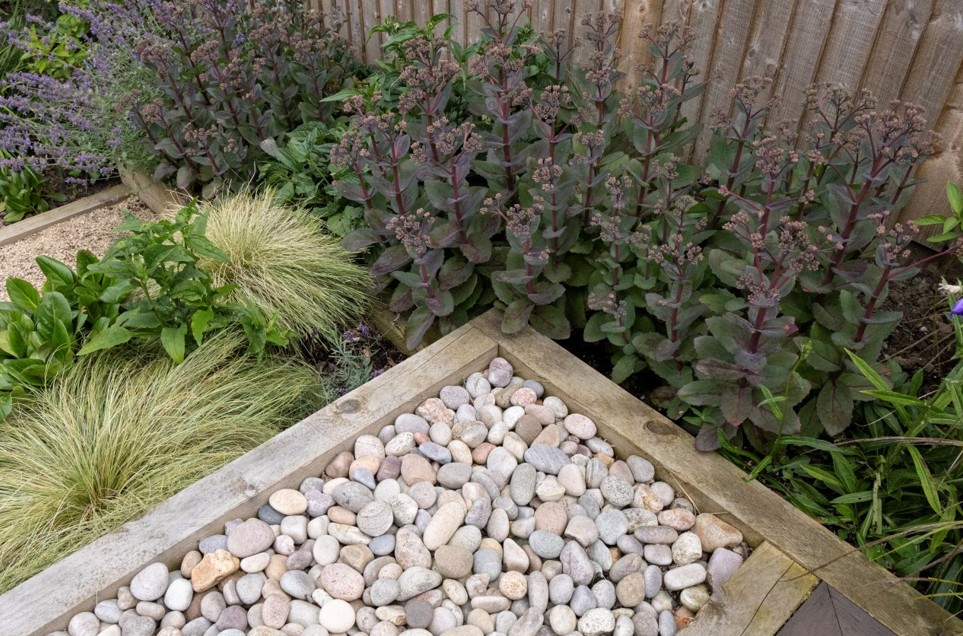 Website 4 - Bluebell