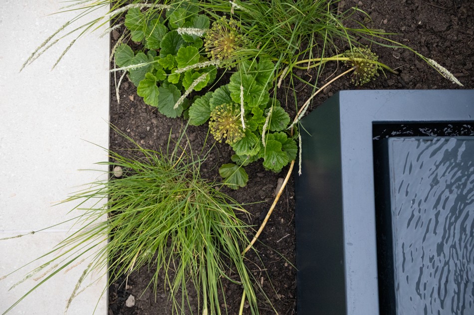 Website 5 - Bellman Walk