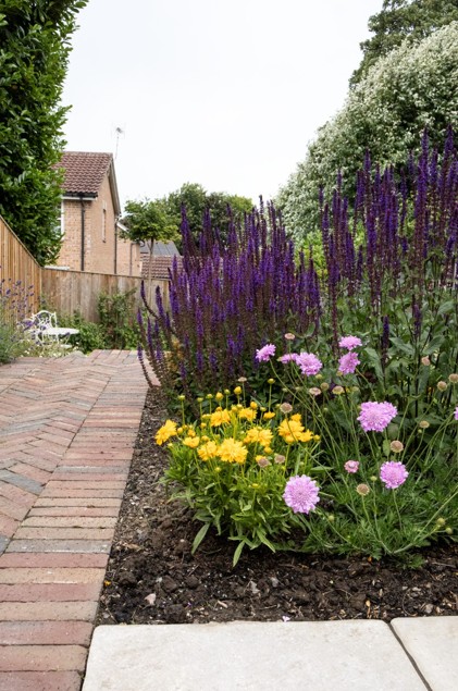 Website 5 - Bluebell