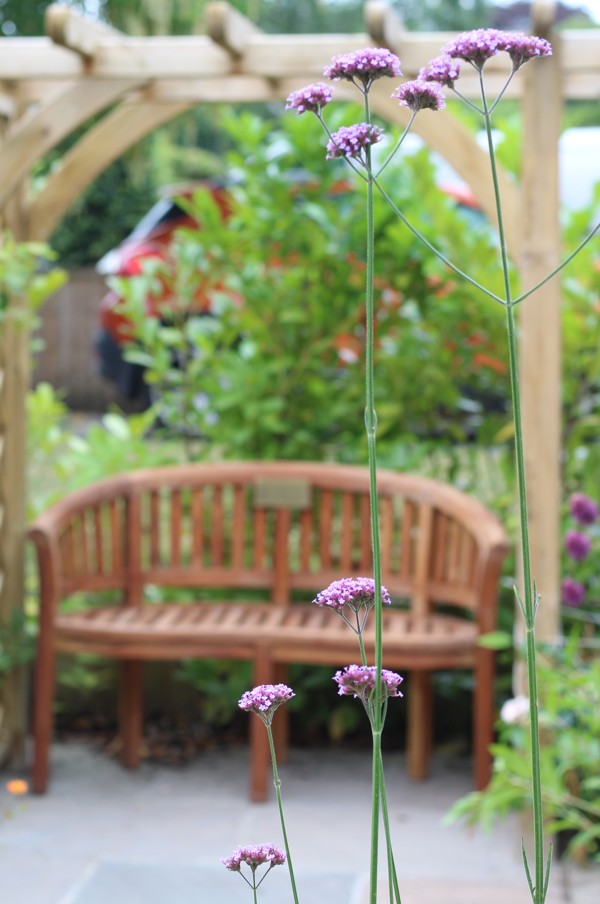 Website 8 - The Avenue