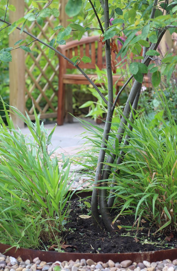 Website 9 - The Avenue