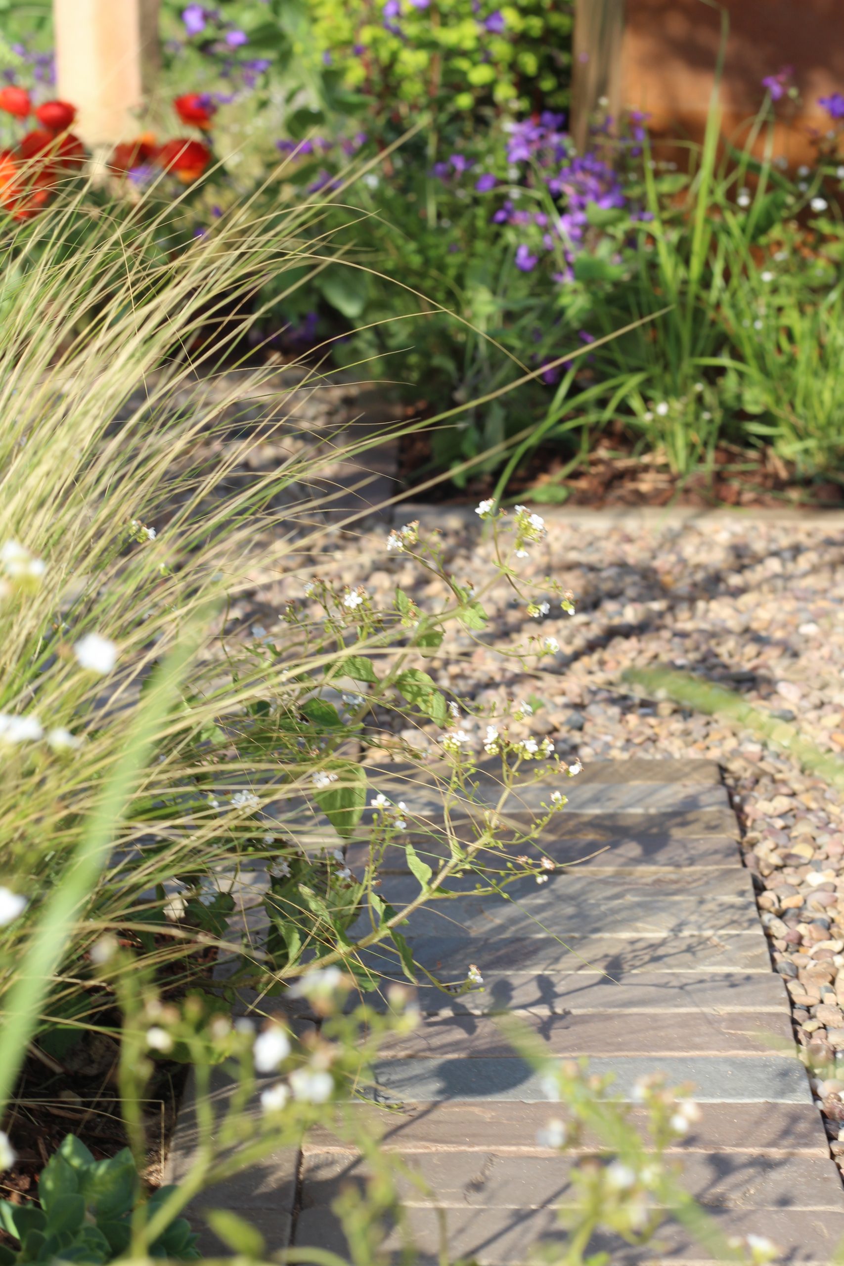 https://harrogategardendesign.co.uk/wp-content/uploads/2026/05/IMG_4109-scaled.jpg
