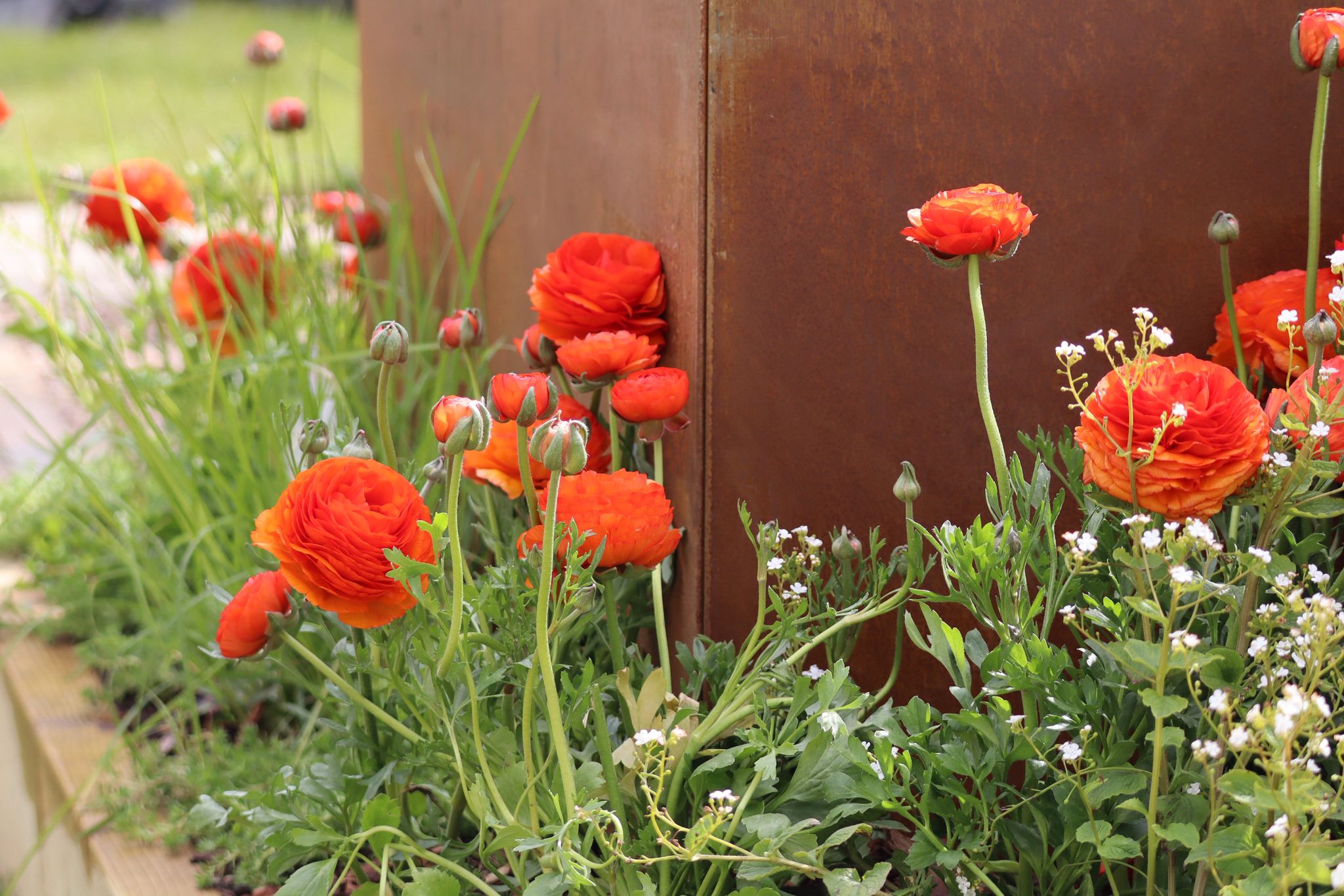 https://harrogategardendesign.co.uk/wp-content/uploads/2026/05/WhatsApp-Image-2026-04-23-at-17.12.20-5.jpeg