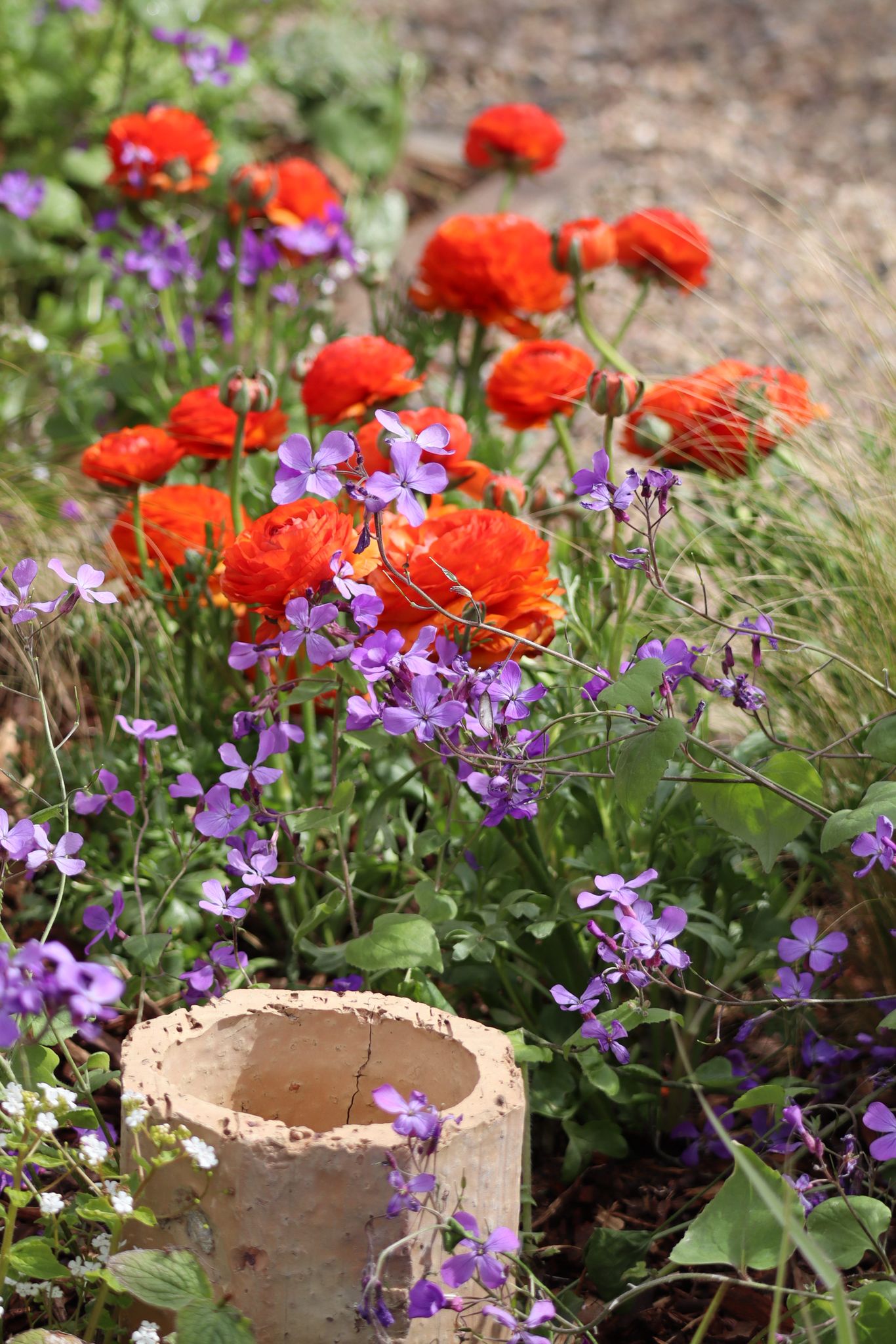 https://harrogategardendesign.co.uk/wp-content/uploads/2026/05/WhatsApp-Image-2026-04-23-at-17.12.20-9.jpeg